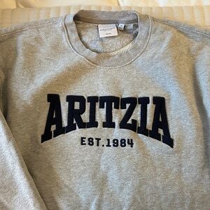 Aritzia Light Gray Crewneck Sweater